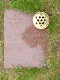 image of grave number 654854